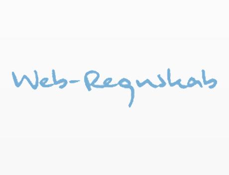 Web-regnskab rabatkode